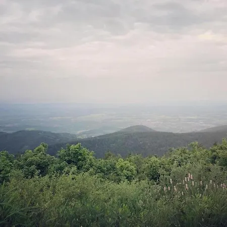 Im Malerischen 克尼比斯