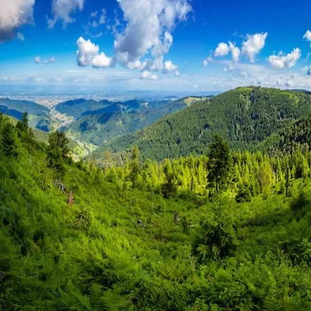 Im Malerischen Lägenhet Kniebis