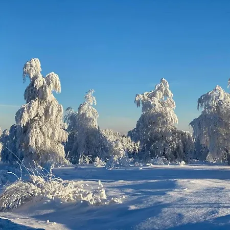 Im Malerischen Kniebis